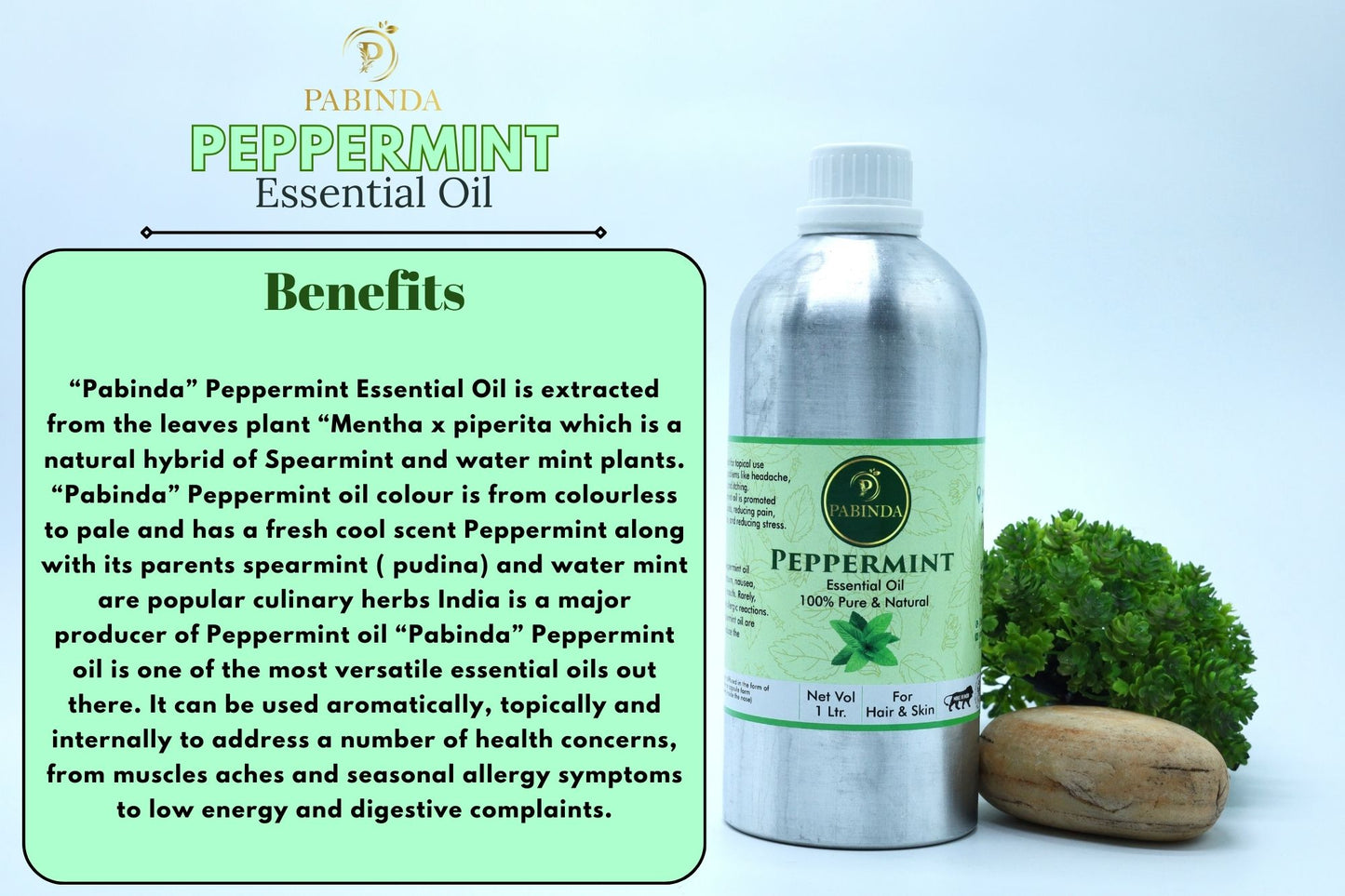 Pabinda Peppermint Essential oil