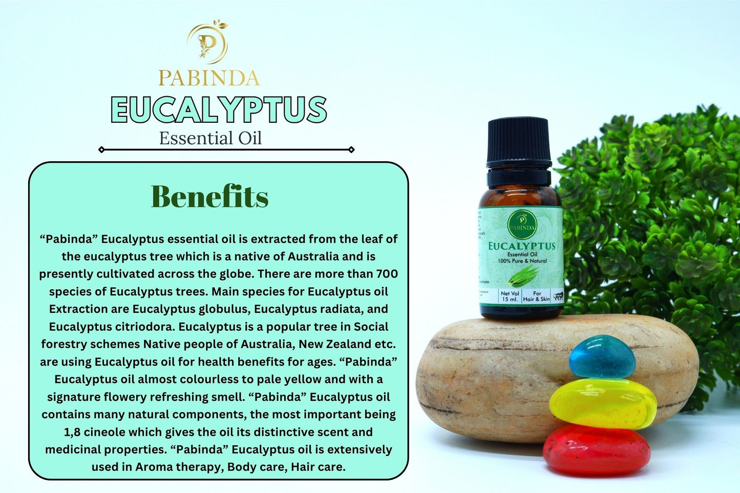 Pabinda Eucalyptus essential oil
