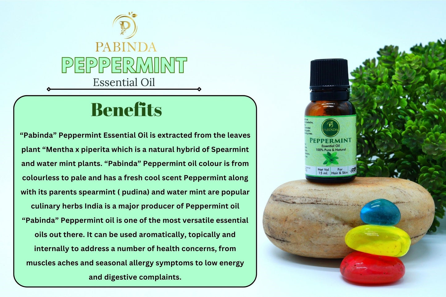 Pabinda Peppermint Essential oil