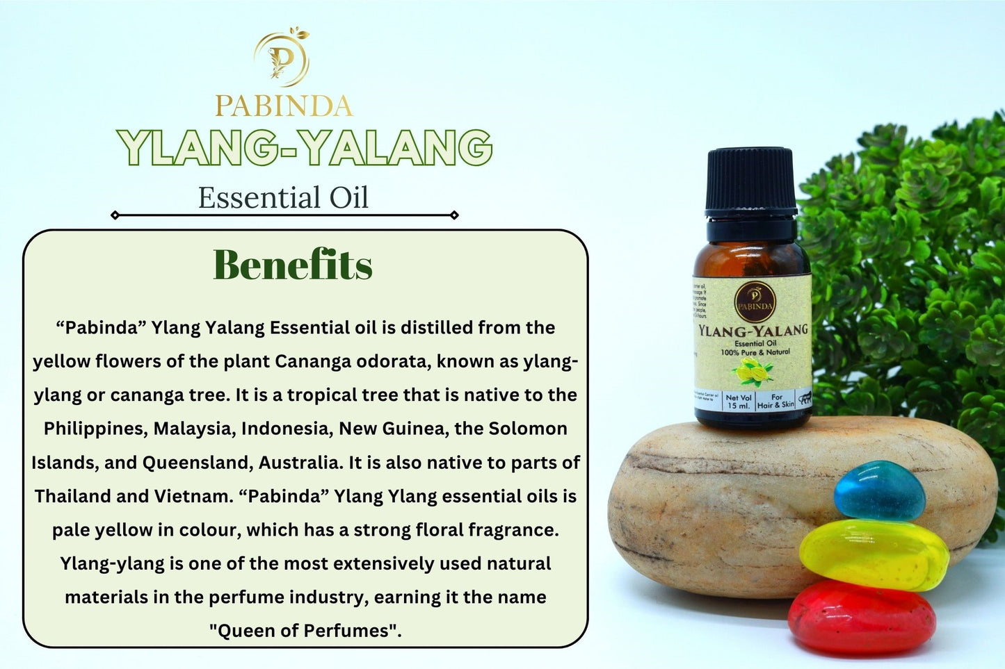 Pabinda Ylang Ylang Essential Oil